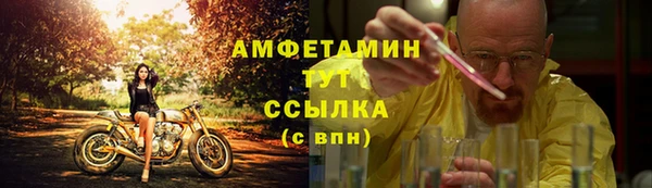 стафф Надым