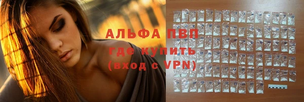 стафф Надым