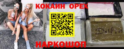гидра Гай