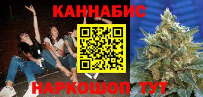 амф Гатчина