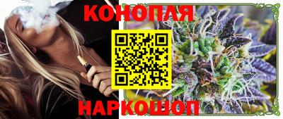 амф Гатчина