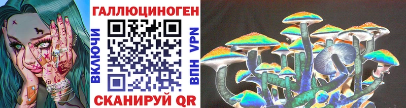Галлюциногенные грибы MAGIC MUSHROOMS  продажа наркотиков  Геленджик 
